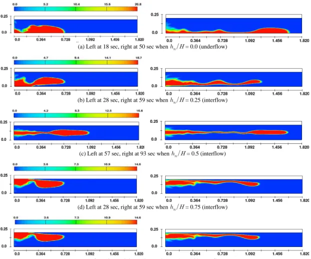 Fig. 9. Temporal evolution of the intrusive density currents into a stratified ambient fluid where the density of fluid behind lock gate  was created using concentration