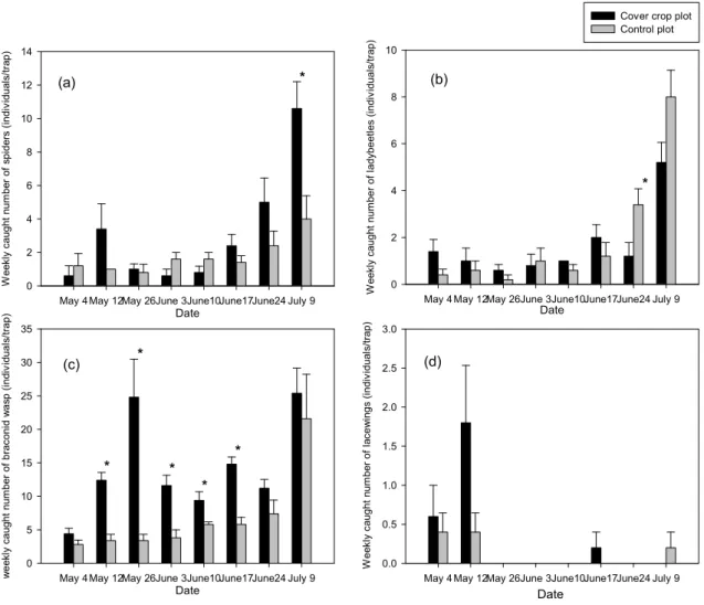 Fig. 4. Populations (Mean±SE) of spiders (a), lady beetles (b), braconid wasps (c), and lace wings (d) in cover crop,  Vicia tatrasperma,  plot and control plot in 2009 (Asterisks indicate statistically significant differences  according to T-test at 95% l