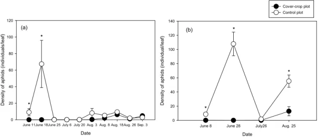 Fig. 5. Differences of aphid density (mean±SE) in cover crop,  Vicia tatrasperma , plot and control plot in  2009(a) and 2010(b)  (Asterisks indicate statistically significant differences according to T-test at 95% level).
