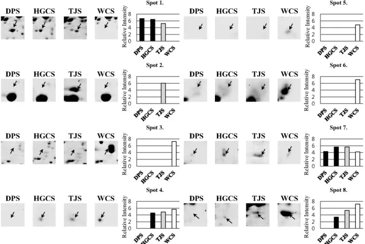 Fig. 3. Representative protein spots in 4 Sorghums. Highly magnified views and relative spot volumes of proteins  showing significant differences are shown