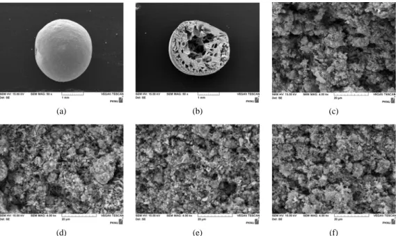 Fig. 2. SEM images of the PVC−LMO beads prepared (a) a whole PVC−LMO  bead (×50), (b) a cross section of the PVC