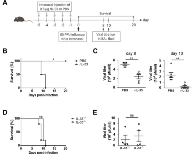 Figure 1. Exogenous interleukin (IL)-33, but not endogenous IL-33, improved the survival of mice infected with PR8 influenza virus