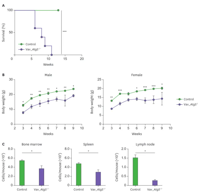 Figure 1.  Vav_Atg5 −/−  mice display defects in survival, body weights, and total hematopoietic cell number