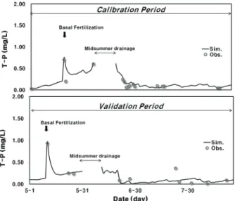 Fig. 5. Observed and simulated daily T-P concentration  for the calibration and validation periods(2011∼2012).