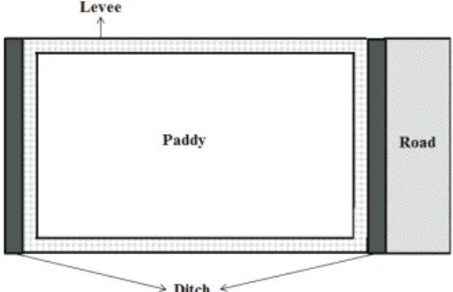Fig. 2. Schematic diagram of a typical  land use for rice field in the study area.