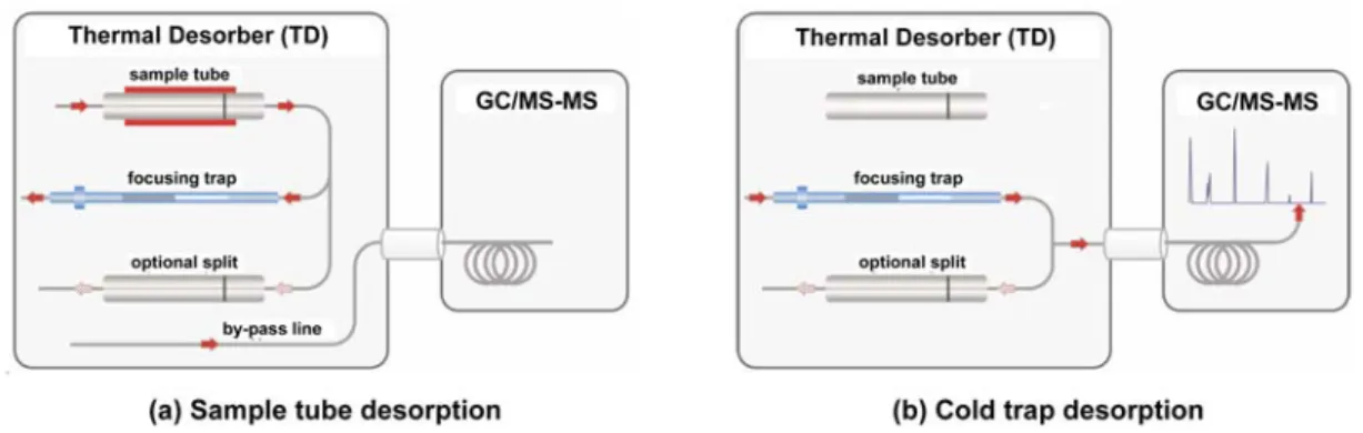 Fig. 1. Schematics depicting the flow path of gas during sample tube desorption (a) and focusing trap desorption (b).
