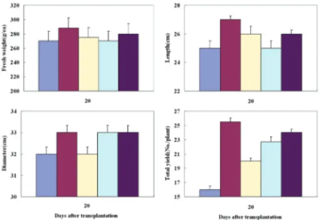 Fig. 3. Effect of application of microbial agents on  yield and its component of cucumber
