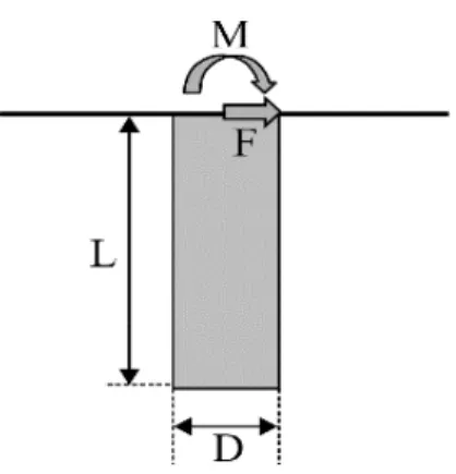 Figure 6. Laterally loaded pile in soil.  3.1. Closed Form Solution for Laterally Loaded Piles 