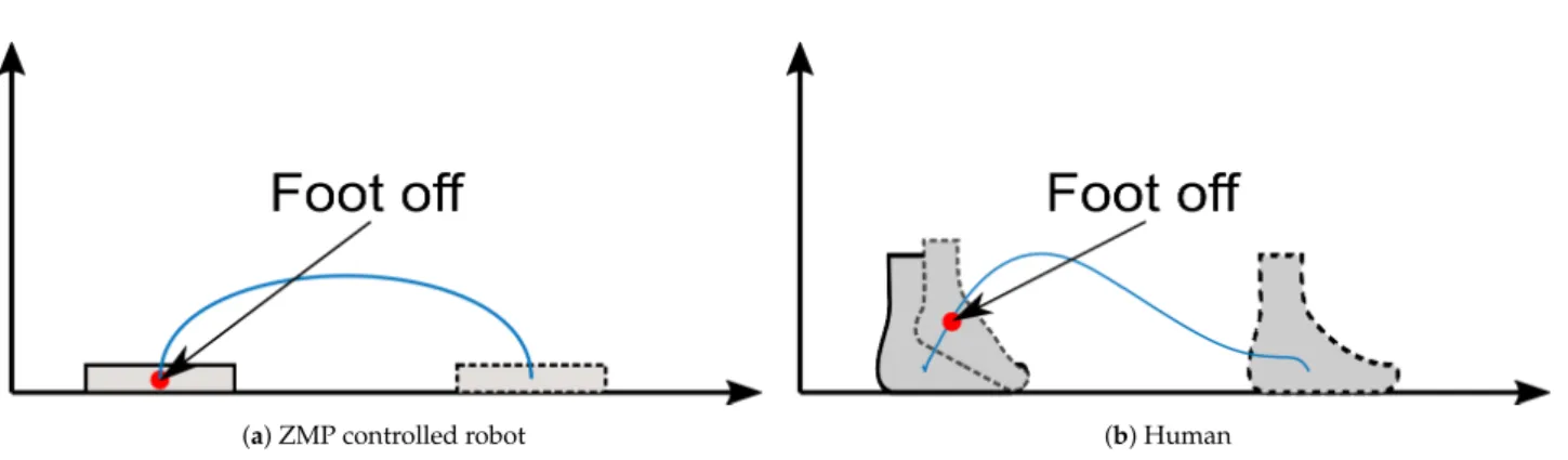 Figure 1. Swing leg’s foot trajectory of (a) robot and (b) human during gait cycle. Robot’s trajectory is from pre-developed robot [ 25 ]