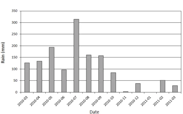 Fig. 6. Histograms of monthly total rainfall. 잔디밭에서 지온의 계절 변화는 뚜렷하며, 여름에는 8 월에 최고 40℃까지 상승하고 겨울에는 1월에 최저 0℃ 까지 감소하였다(Fig