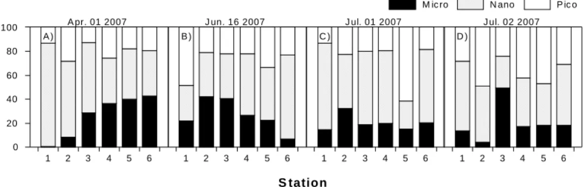 Fig. 5. Distribution of phytoplankton biomass (chlorophyll a) grouped by three size classes.