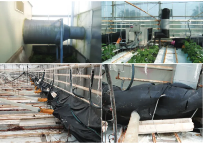 Fig. 1. The photographs of a typical greenhouse using the  underground-air