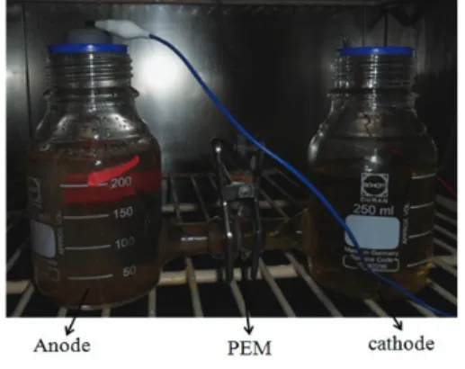 Fig. 1 Picture of two-chamber H-type MFC  system used in this experiment