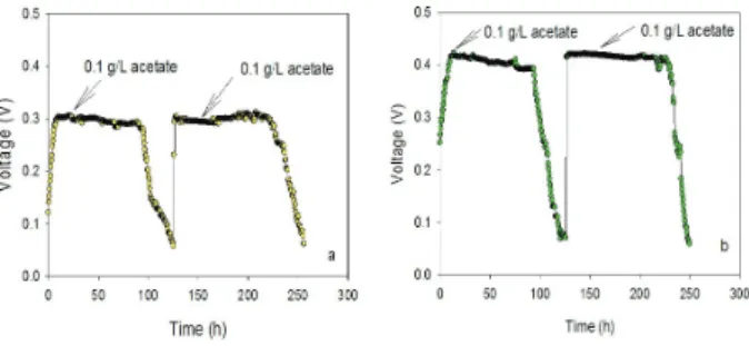 Fig. 3. Voltage generation from MFCs with (a) oxygen  and (b) ferricyanide as the electron acceptors in  the cathode compartments using 0.1 g/L acetate