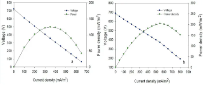 Fig. 5. Polarization curves for the MFCs under different  catholytes; (a) oxygen and (b) ferricyanide with  0.1 g/L acetate