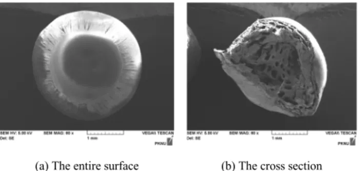 Fig. 1. SEM images of (a) the entire surface and (b) the cross section of PVC-Al(OH) 3  bead.