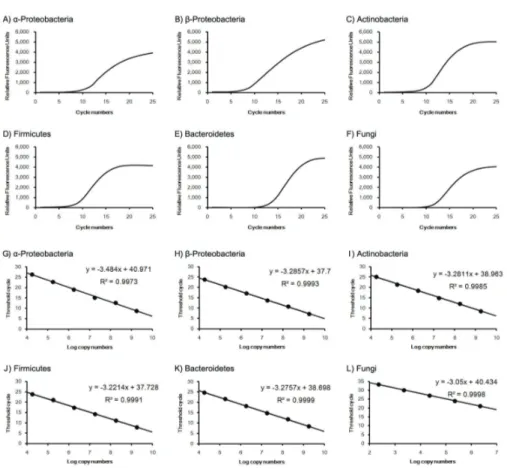 Fig. 2. qRT-PCR amplification curve and quantifying standard curves for each  bacterial phylums and fungi