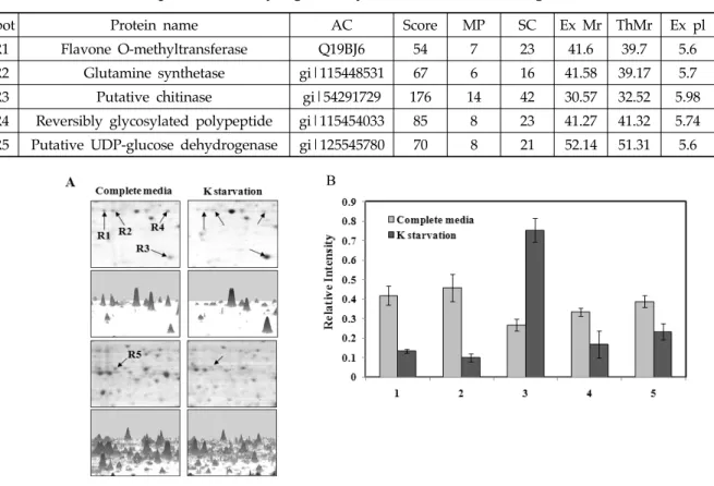 Fig. 4. Enlarged images of differentially induced proteins in response to K starvation condition in  rice roots