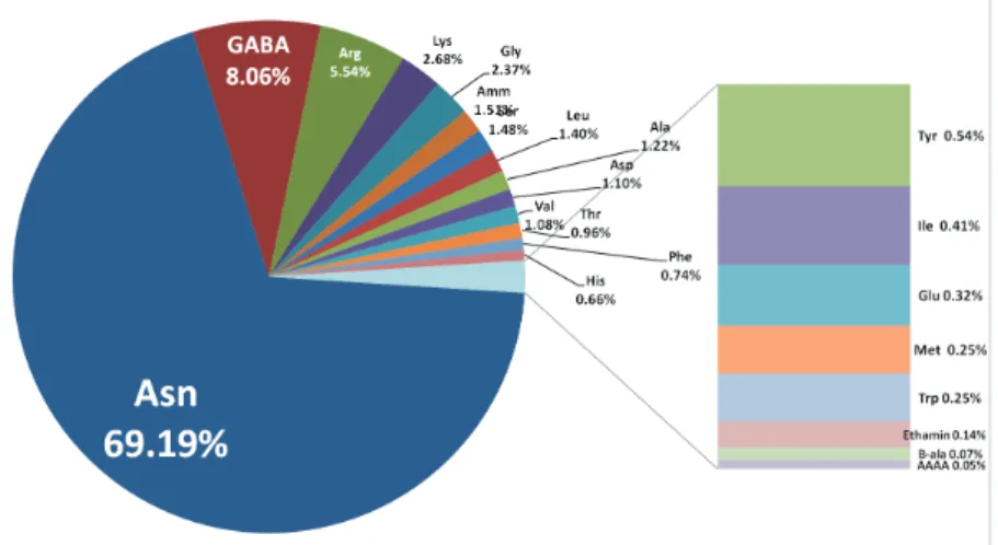 Fig. 3. Relative ratios of total amino acids in 6 day-old soybean sprouts  grown in dark