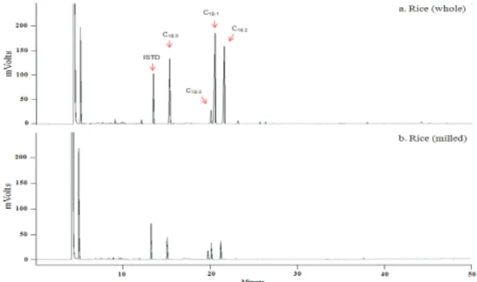 Fig. 2. GC chromatogram of individual fatty acids extracted  in rice grain. 알곡과  도정곡의  전체  지방산  조성은  Table 1과  같으며  지방산의  조성비  분포는  전체적으로  보았을  때  0.01∼54.0% 범위의  분포를  보였다