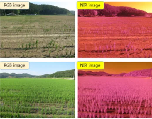 Fig. 5 Images taken of drought damage site using RGB and NIR  camera