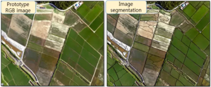 Fig. 8 Results of prototype RGB image and segmented image  using region growing method