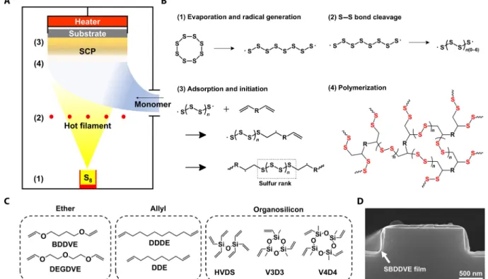Fig. 1. Synthesis of SCP films in vapor phase. (A) A schematic illustration of overall sCVD system