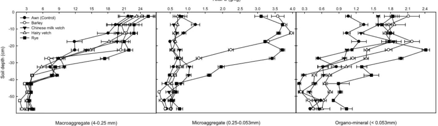 Fig. 5. Distribution patterns of total carbon content in different size of aggregates of the selected winter crops in paddy soil.