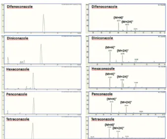 Fig. 2. XIC and mass spectra of conazoles spiked in the garlic matrix at 0.05 mg/L.