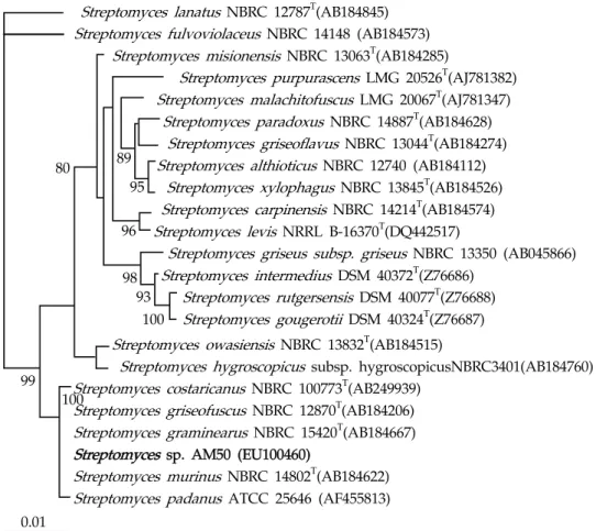 Fig. 1. Neighbor-joining tree based on almost-complete 16S rRNA gene sequences, showing  phylogenetic relationships between strain AM50 and species from  Streptomyces   genus