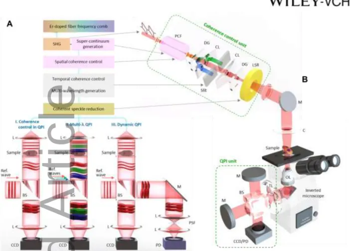 Figure 1. Frequency-comb-referenced quantitative phase imaging (FCR-QPI). (A) FCR-QPI for (I)  coherence  control  in  QPI,  (II)  multi-wavelength  QPI,  and  (III)  dynamic  QPI
