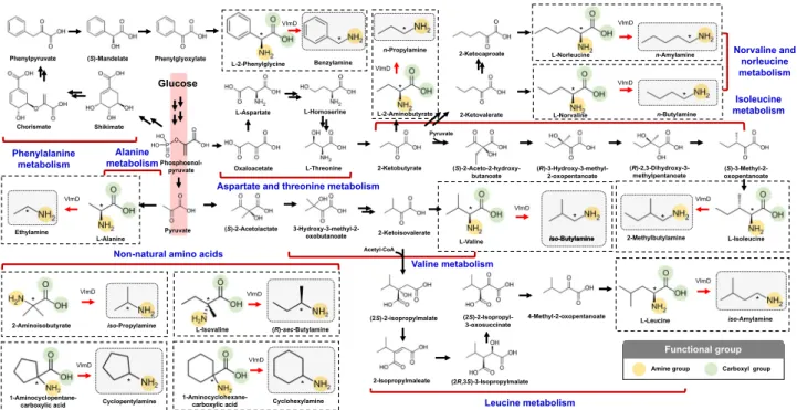 Fig. 4 Biosynthetic reactions constructed in E. coli for the in vivo production of 12 SCPAs