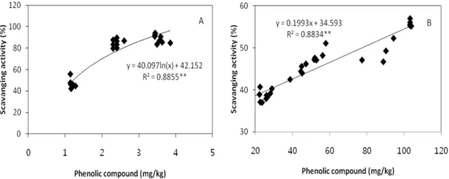 Fig. 1. The relationships between phenolic compounds concentration and DPPH radical scavenging activity of peel (A)  and flesh (B) in 'Niitaka' pear fruits