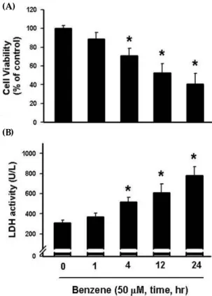 Fig. 1. Dose-dependent effect of benzene on cell viability  (A) and lactate dehydrogenase (LDH) activity (B) in  cultured A549 cells