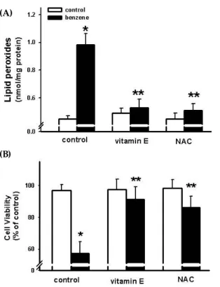 Fig. 4. Effect of benzene on the expression of Bcl-2, Bax  and caspase-3 in cultured A549 cells