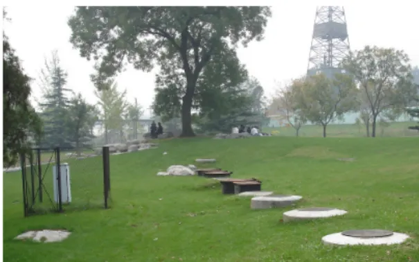 Fig. 1. Well Covers in the Green Space.