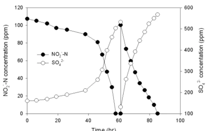 Fig 1. Variation of NO 2 - -N concentration and SO 4 2-