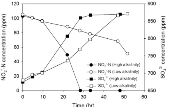 Fig 3. Profiles of NO 2 - -N concentrations and SO 4 2-  con- con-centrations at low and high initial alkalinity concentration.
