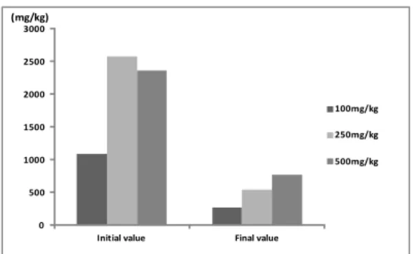 Fig. 5. Comparison of Cd accumulations between initial  value and final value in soil grown with Liriope  platyphylla