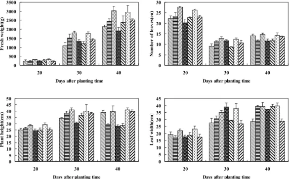 Fig. 2. Effect of mixtures with lignite+amino acid solution and fertilizer on the aboveground growth of Chinese cabbage