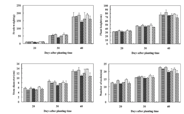 Fig. 4. Effect of mixtures with lignite+amino acid solution and fertilizer on the aboveground growth of hot pepper