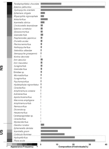 Fig. 8. Appearance frequency and composition individuals of indicator species in Urban Stream (US) and Nature Stream (NS).