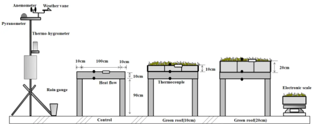 Fig. 1. Observation points of experimental setup for the green roof study.