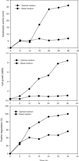 Fig. 4. Keratinolytic activity and cell growth by strain H10  in optimized and basal media.
