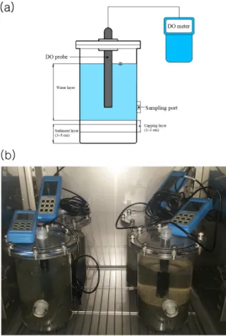 Fig. 1 (a) schematic diagram of experiments and (b) digital image  of apparatus used for nutrients and chemical oxygen demand  release experiment 2