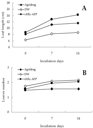 Fig. 5. Immunofluorescence microscope images to show  the localization of rKRs-AFP in B