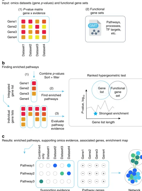 Fig. 1 Method overview. a ActivePathways requires as input (1) a matrix of gene P-values for different omics datasets, and (2) a collection of gene sets corresponding to biological pathways and processes