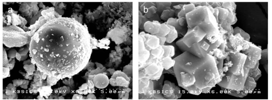 Fig. 1. SEM images of (a) CFA and (b) Z-C1.