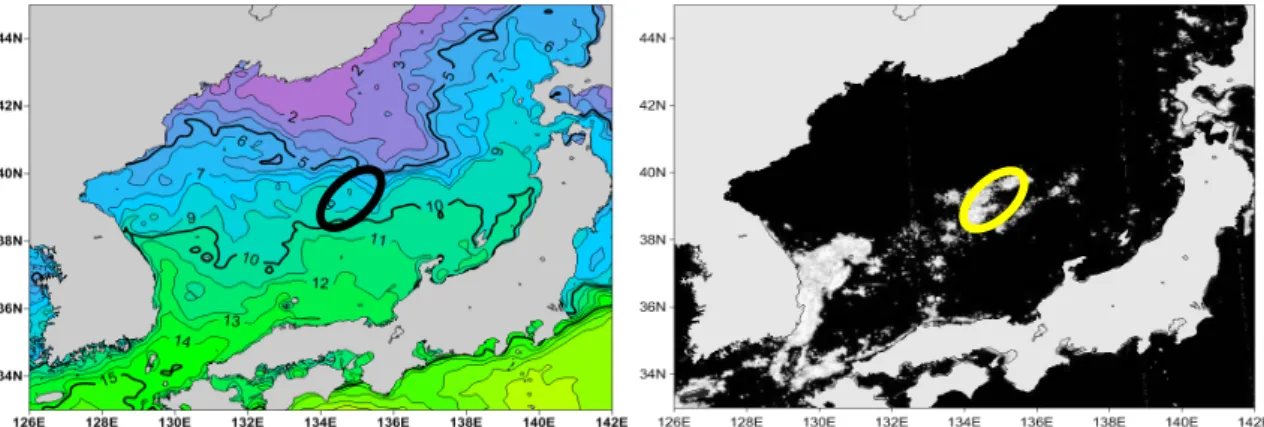 Fig. 1. NOAA/MCSST (left) and DMSP/OLS (right) images in the East Sea between 33‑45°N in latitude and 126‑142°E in  longitude