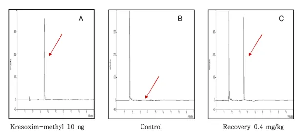 Fig.  3.  Variation  of  Korean  melon  weight  during  the  experimental  period.